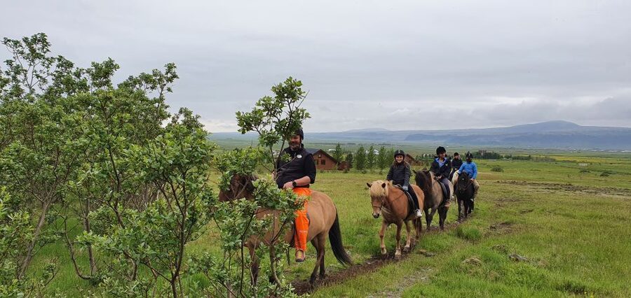Hveragerdi: Reykjadalur (Hotspring Valley) Horse Riding Tour - Reykjadalur and Hveragerdi: Why This Ride Feels Uniquely Icelandic