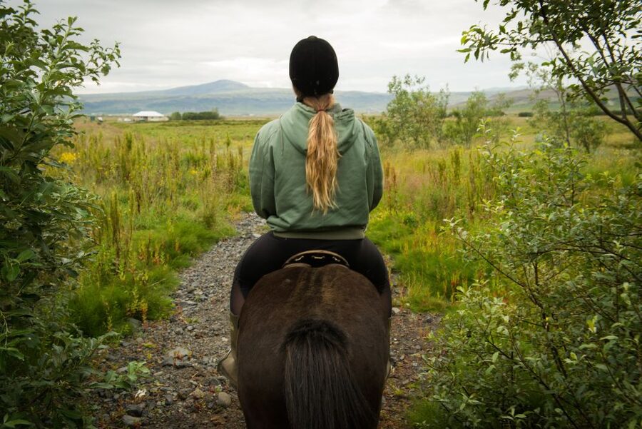 Hveragerdi: Reykjadalur (Hotspring Valley) Horse Riding Tour - The Horses: How They Help You Have a Good Ride