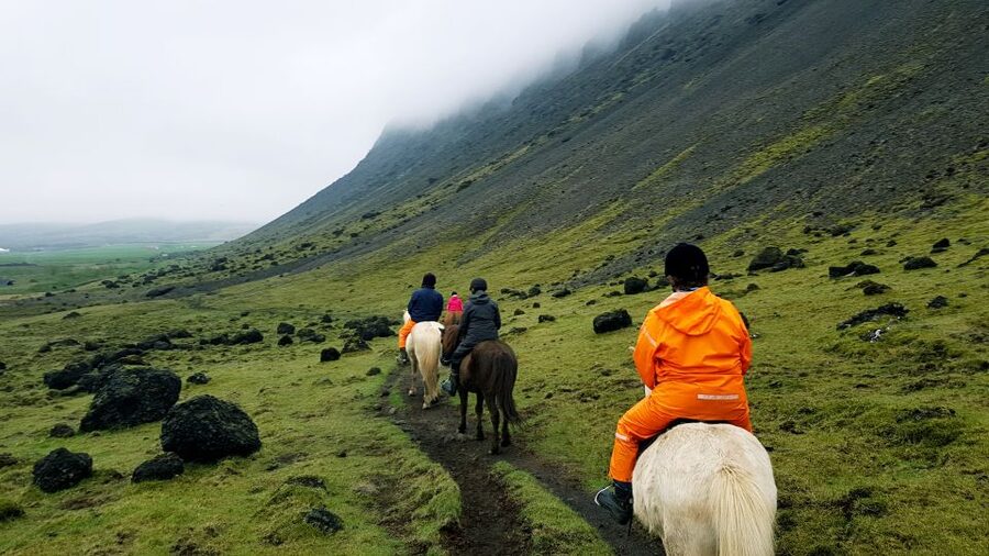 Hveragerdi: Reykjadalur (Hotspring Valley) Horse Riding Tour - Price at $142: What You Really Get for Your Money