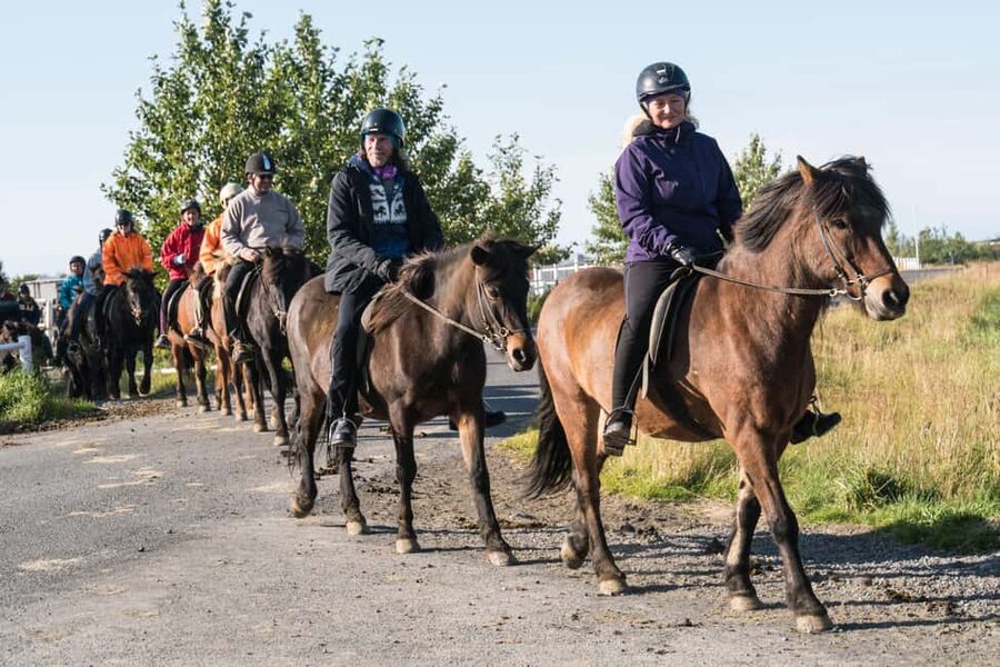 Hveragerdi: The Siggi Horse Riding Tour - Key Highlights You’ll Care About