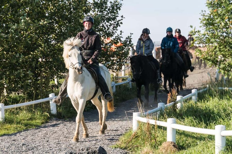 Hveragerdi: The Siggi Horse Riding Tour - Icelandic Horses, Farm Trails, and the Tölt Feeling