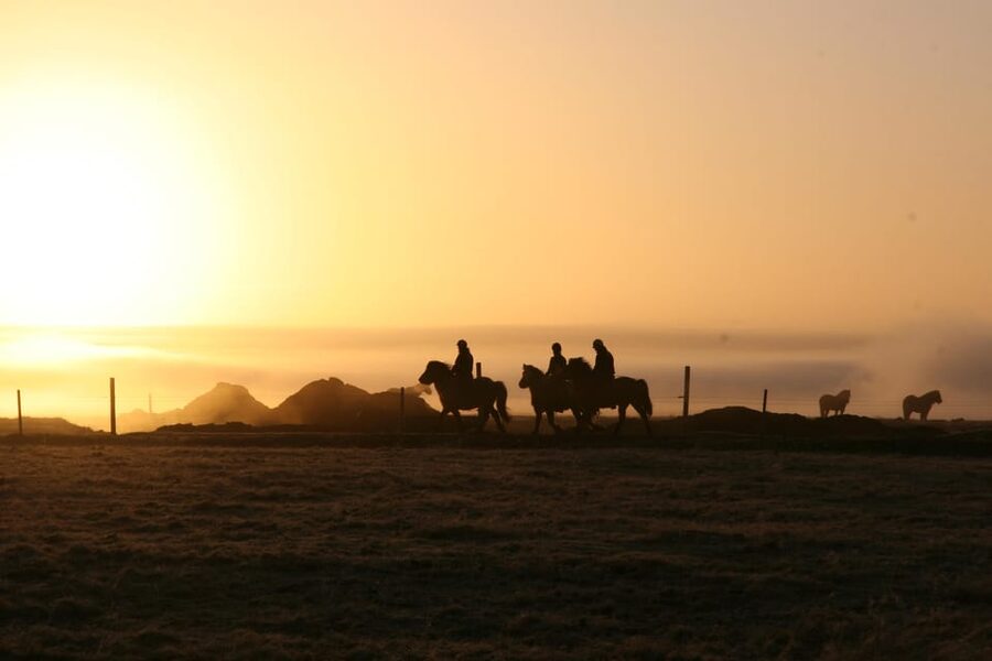Hveragerdi: The Siggi Horse Riding Tour - The Ride Itself: A 2-Hour Tour With 1.5-2 Hours in the Saddle