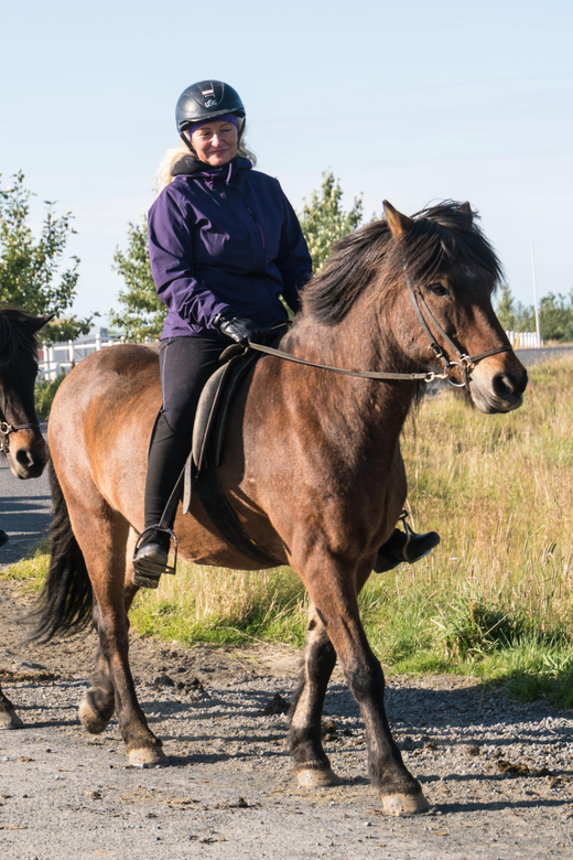 Hveragerdi: The Siggi Horse Riding Tour - The Tölt Experience: How the Guide Helps You Get It