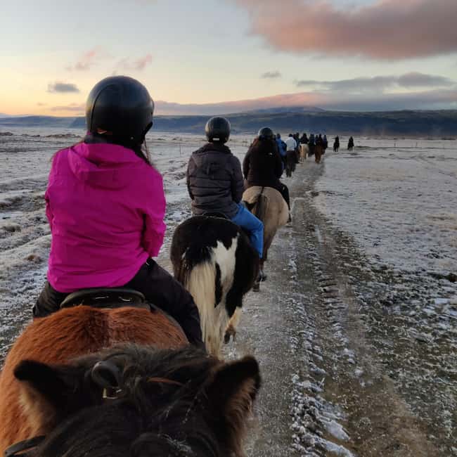 Hveragerdi: The Siggi Horse Riding Tour - Safety Gear and Camera Rules: What to Bring (and What to Skip)