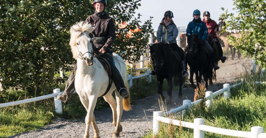 Hveragerdi: The Siggi Horse Riding Tour - Price and Value: Is $136 Worth It?