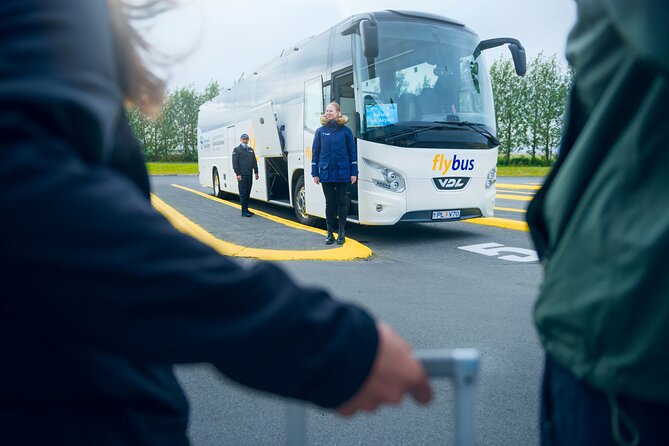 Iceland: Airport Transfer Between Reykjavík Center and Keflavík - Value check: $34 for a reliable airport leg, minus the taxi pain