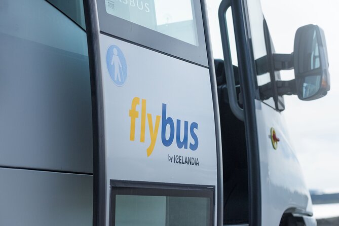 Iceland: Airport Transfer Between Reykjavík Center and Keflavík - How well it runs in real conditions: punctuality, staff help, and consistency