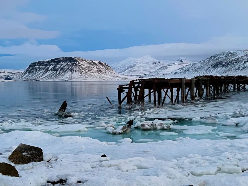 Iceland in a nutshell, private Super Jeep - Booking call: should you book Iceland in a Nutshell?