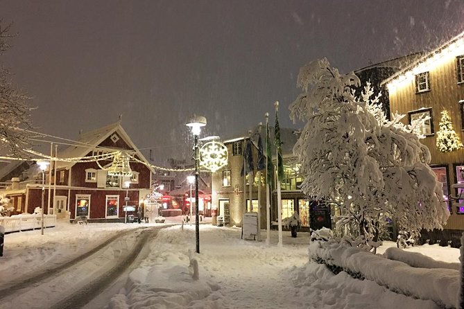 Iceland's Christmas Myths and Traditions - Reykjavík walking tour - The storytelling factor: Christmas myths and traditions told with humor