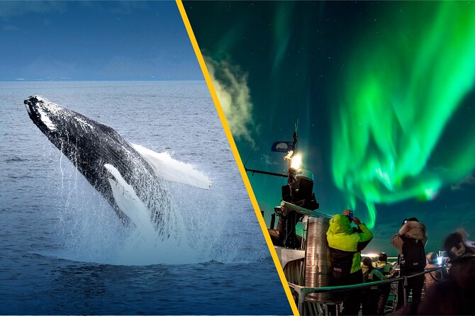 Iceland Super Saver: Northern Lights Cruise plus Whale-Watching Tour from Reykjavik - Stops, timing, and how the order affects your day