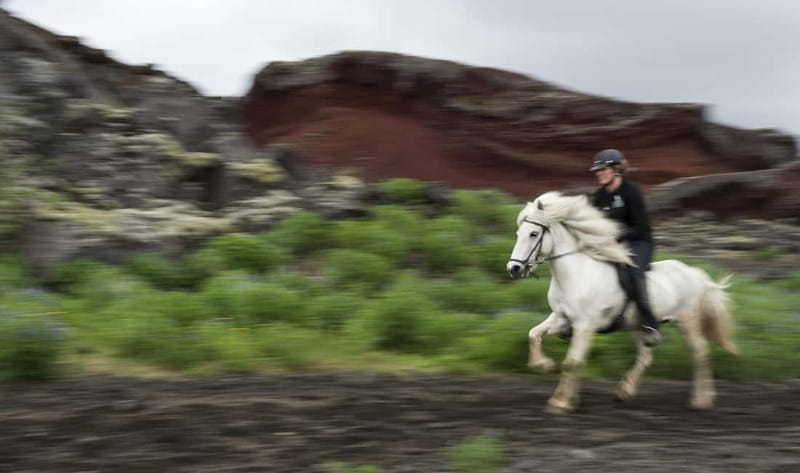Iceland: Volcanic Landscape Horse Riding Tour - Key highlights worth planning for