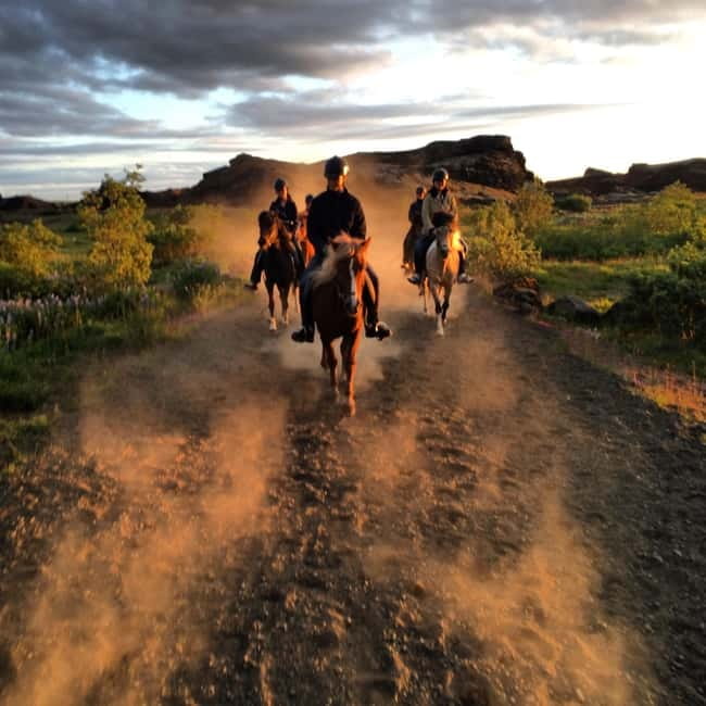 Iceland: Volcanic Landscape Horse Riding Tour - Should You Book Islenski Hesturinn’s Volcanic Horse Ride?