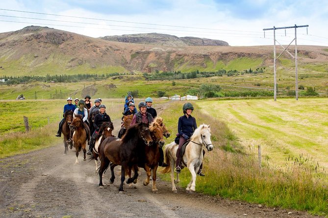 Icelandic Horse Riding and Whale Watching Cruise from Reykjavík - Getting started: Hótel Eldhestar and the 9:00 am rhythm