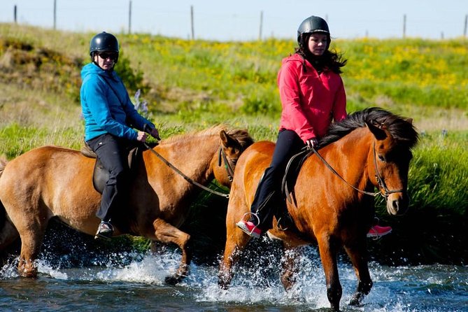 Icelandic Horse Riding and Whale Watching Cruise from Reykjavík - What warm clothing and safety gear really do for you