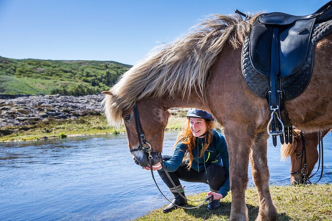 Icelandic Horse Riding and Whale Watching Tour from Reykjavik - Key things that make this tour worth your time