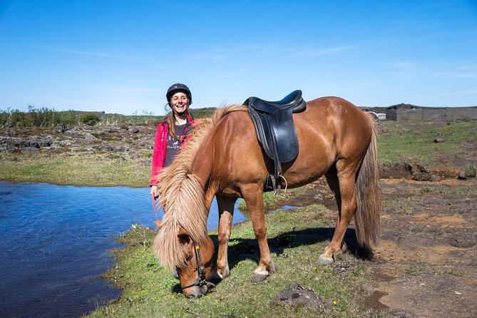 Icelandic Horse Riding and Whale Watching Tour from Reykjavik - High-speed whale watching in Faxaflói Bay: what to look for
