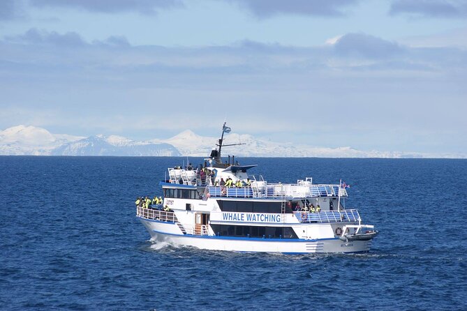 Icelandic Horse Riding and Whale Watching Tour from Reykjavik - Comfort, logistics, and the things to confirm before you go