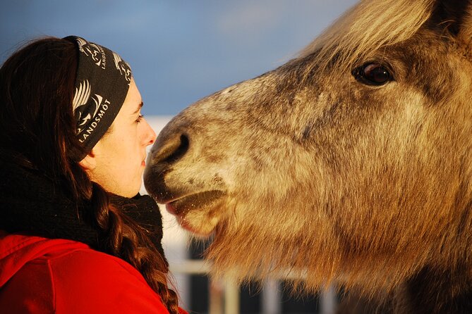 Icelandic Horse Riding and Whale Watching Tour from Reykjavik - The ride itself: lava views, moorland trails, and group pacing