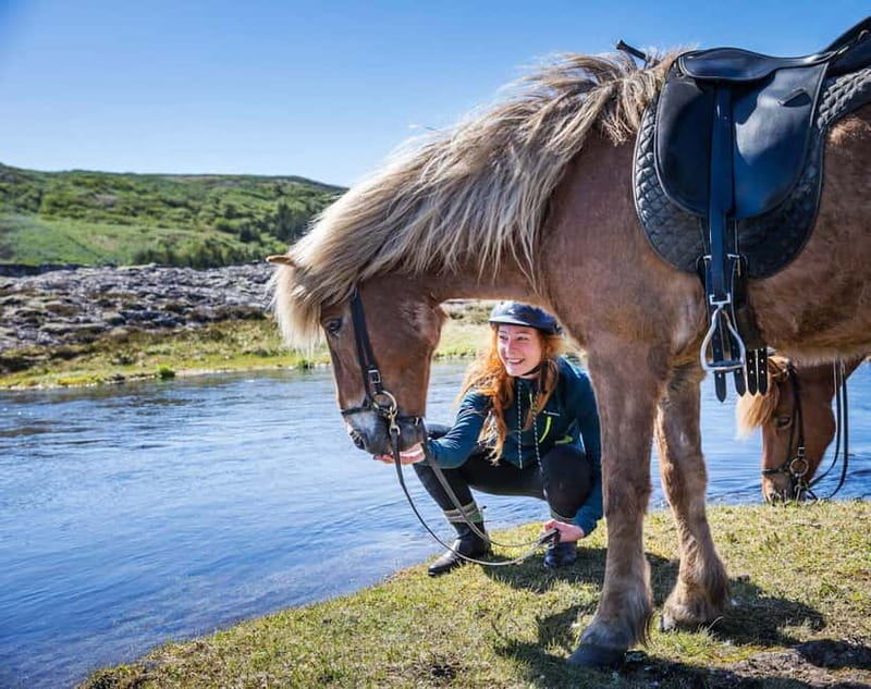 Icelandic Horse Riding Tour & Pickup Option from Reykjavik - Key things that make this ride worth it