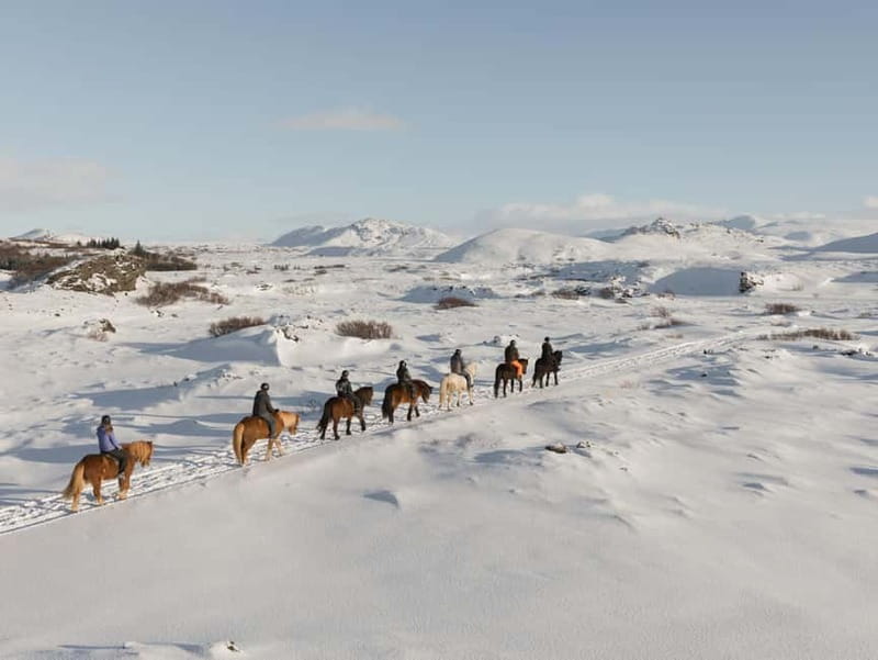 Icelandic Horse Riding Tour & Pickup Option from Reykjavik - Riding from Íshestar Stables, Hafnarfjörður, near Reykjavík