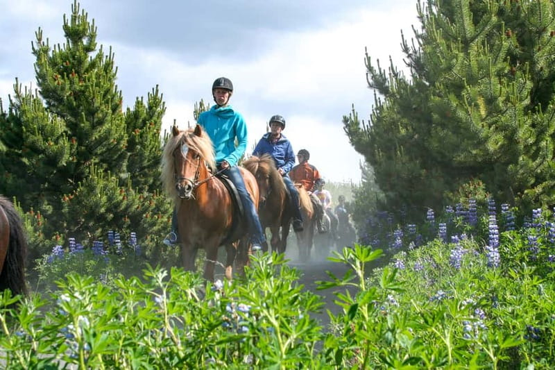 Icelandic Horse Riding Tour & Pickup Option from Reykjavik - Gear rules that make or break a cold-weather ride