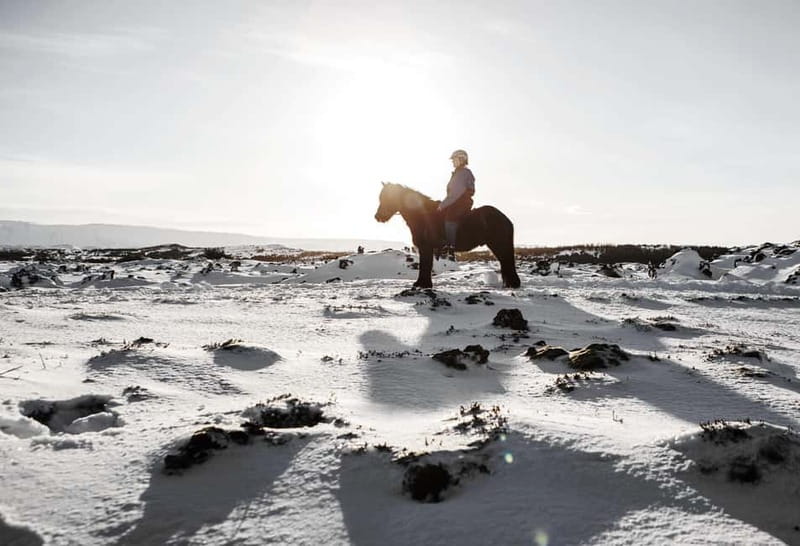 Icelandic Horse Riding Tour & Pickup Option from Reykjavik - The trail: lava fields, green hillsides, and a tölt you can feel