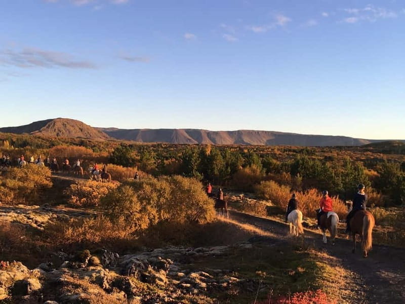 Icelandic Horse Riding Tour & Pickup Option from Reykjavik - Beginners and experienced riders: how the group split changes everything