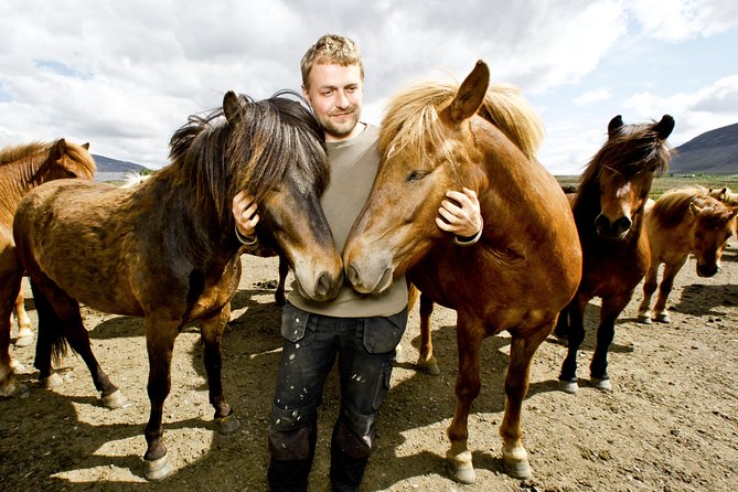 Icelandic Horseback Riding Tour Including Pick Up from Reykjavik - Pickup in Reykjavik: plan for the collection window