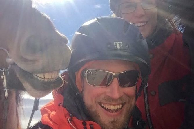 Icelandic Horseback Riding Tour Including Pick Up from Reykjavik - The ride itself: countryside time, river crossings, and smooth gaits