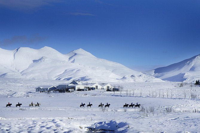 Icelandic Horseback Riding Tour Including Pick Up from Reykjavik - After the saddle: warm drinks, coffee, and pastries