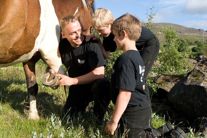 Icelandic Horseback Riding Tour Including Pick Up from Reykjavik - Price and value: why this one costs what it does