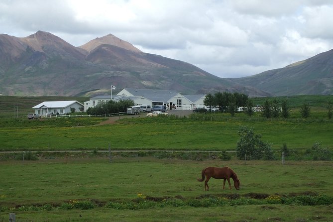 Icelandic Horseback Riding Tour Including Pick Up from Reykjavik - Getting suited up: helmets, boots, rain gear, and winter snowsuits