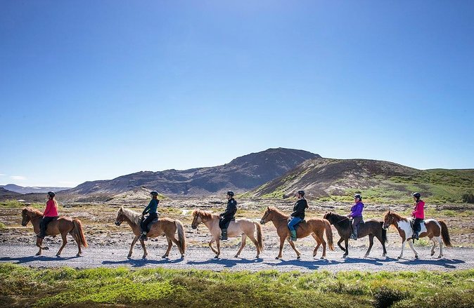 Icelandic Horseback Riding Tour with Pickup Option from Reykjavik - Entering Ishestar, getting to the stables, and meeting your instructor