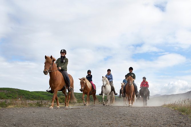 Icelandic Horseback Riding Tour with Pickup Option from Reykjavik - How the ride becomes beginner-friendly, intermediate-smart, and fast-possible