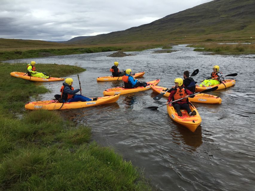 Icelandic Kayak Trip - Key highlights you should know