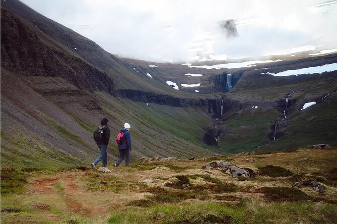 Isafjordur and Westfjords Private Day Tour - Flateyri: colorful homes and a slow village break