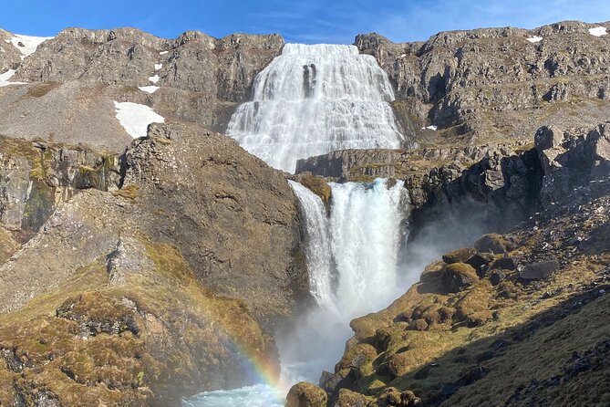 Isafjordur and Westfjords Private Tour - Key highlights you should care about