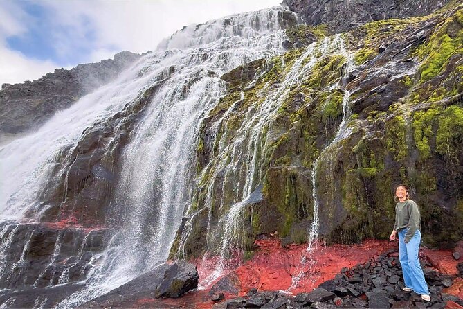 Isafjordur and Westfjords Private Tour - A practical look at time, transport, and the real value of $1,800