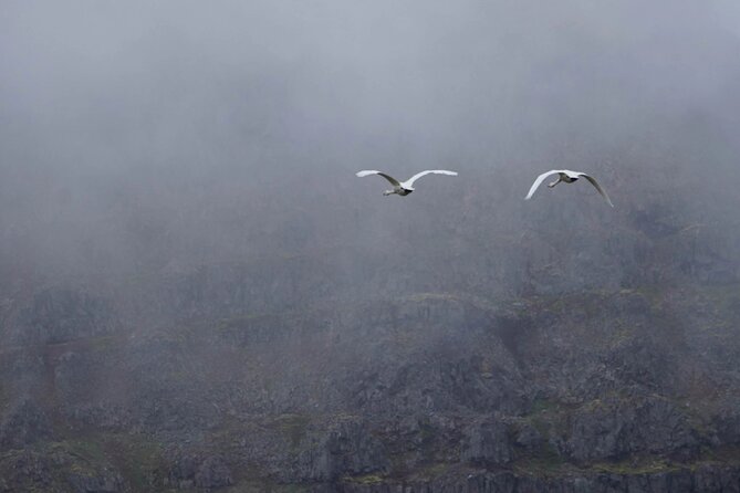 Isafjordur and Westfjords Private Tour - Should you book this Ísafjörður and Westfjords private tour?