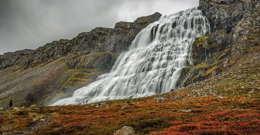 Isafjordur: Dynjandi Waterfall Tour and Icelandic Farm Visit - Key Highlights You’ll Actually Care About