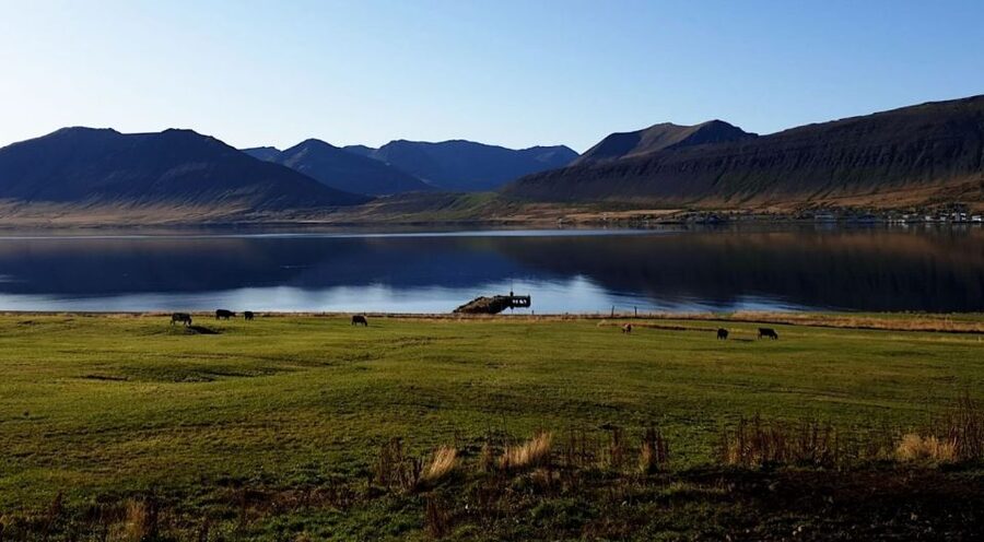 Isafjordur: Dynjandi Waterfall Tour and Icelandic Farm Visit - How the Timing Fits a Half-Day Cruise Day (and Why It Works)