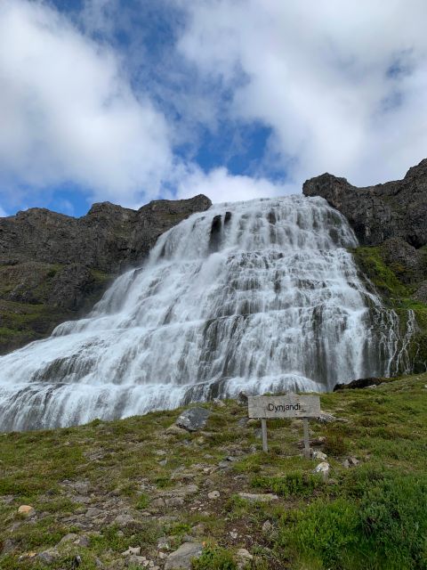 Isafjordur: Dynjandi Waterfall Tour and Icelandic Farm Visit - Should You Book This Ísafjörður to Dynjandi and Farm Tour?