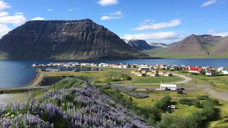 Ísafjörður: Flateyri Village tour: Nature, Culture, History - Key things to notice before you go