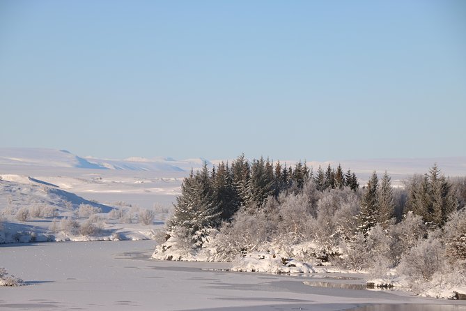 Lake Mývatn and Powerful Dettifoss Day Tour from Akureyri - The 4x4 transit and what it means for your comfort