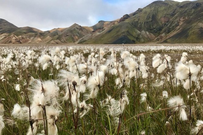 Landmannalaugar by Super Jeep - Landmannalaugar by Super Jeep: what you are really booking