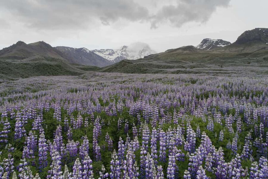 Landmannalaugar Highlands Small Group Super Jeep Tour - Key highlights worth getting excited about
