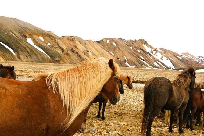 Landmannalaugar Hiking, Haifoss Waterfall and Hot Springs Tour - Leaving Reykjavik for Landmannalaugar, without the logistics headache
