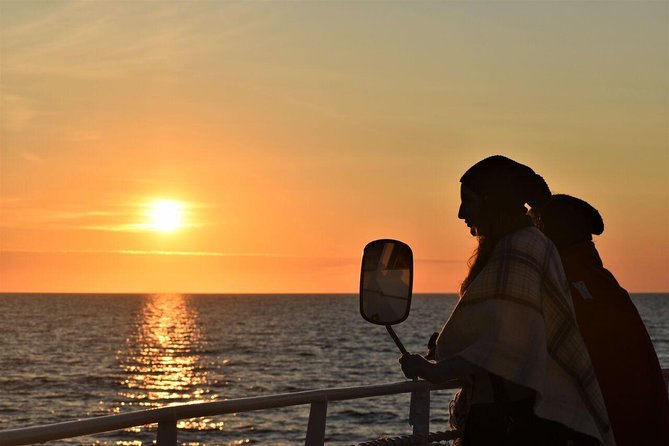 Magical Whales in the Midnight Sun | from Reykjavik - Key highlights worth planning for