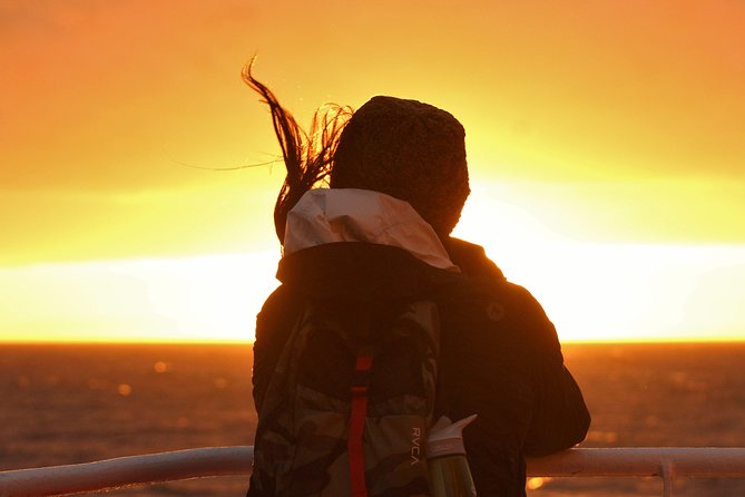 Magical Whales in the Midnight Sun | from Reykjavik - Why the midnight sun matters on this whale cruise
