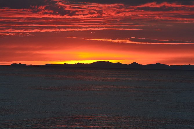 Magical Whales in the Midnight Sun | from Reykjavik - Timing in Reykjavik: when you return and how to use your evening